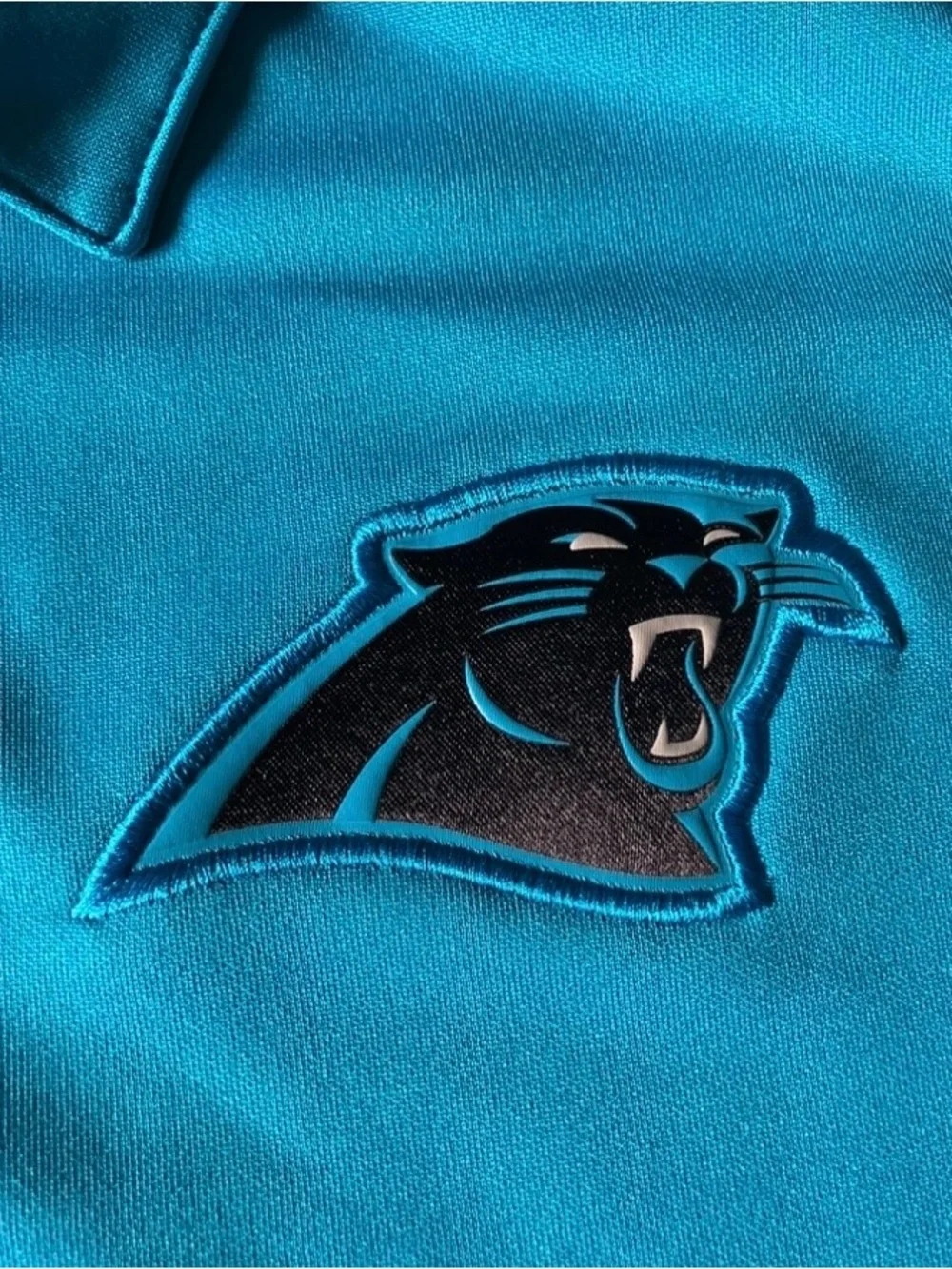 Nike Carolina Panthers Performance Polo